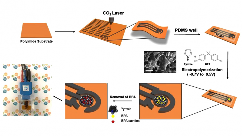 Electrochemical Sensors | Sensors